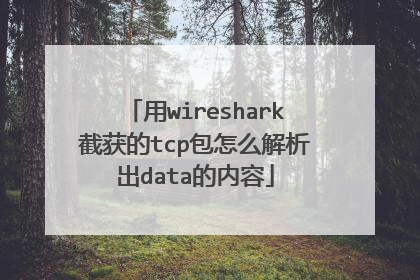 用wireshark截获的tcp包怎么解析出data的内容