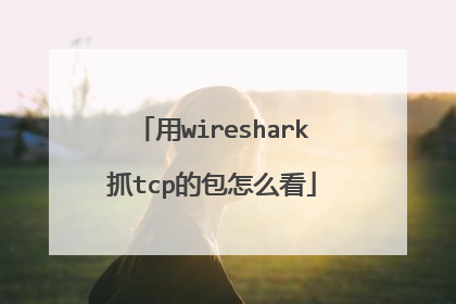 用wireshark抓tcp的包怎么看