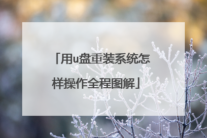 用u盘重装系统怎样操作全程图解