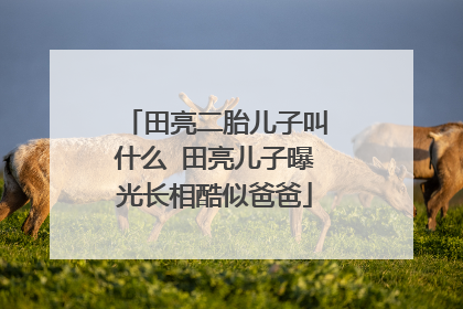 田亮二胎儿子叫什么 田亮儿子曝光长相酷似爸爸