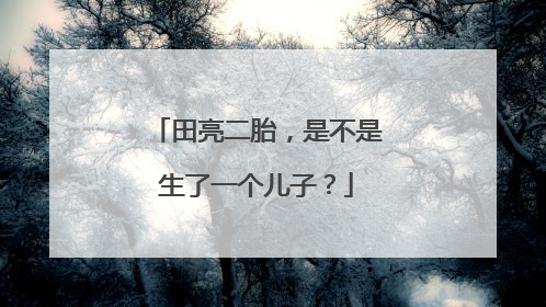 田亮二胎，是不是生了一个儿子？