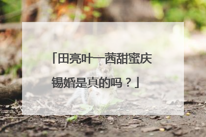 田亮叶一茜甜蜜庆锡婚是真的吗？