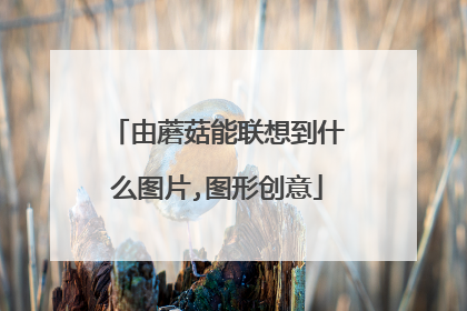 由蘑菇能联想到什么图片,图形创意