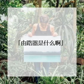 由路器是什么啊