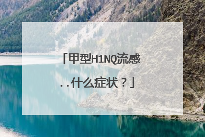 甲型H1NQ流感..什么症状?