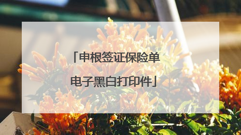 申根签证保险单 电子黑白打印件