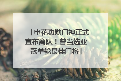 申花功勋门神正式宣布离队！曾当选亚冠单轮最佳门将