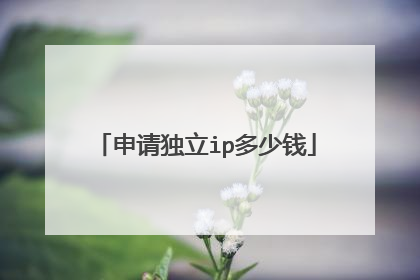申请独立ip多少钱