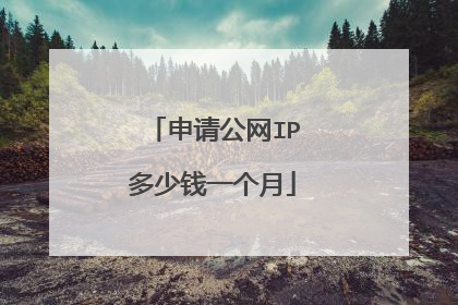 申请公网IP多少钱一个月