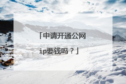 申请开通公网ip要钱吗？
