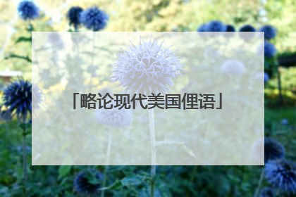 略论现代美国俚语