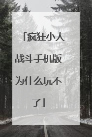 疯狂小人战斗手机版为什么玩不了
