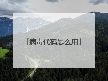 病毒代码怎么用