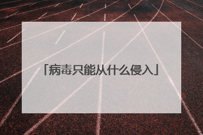 病毒只能从什么侵入