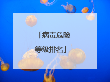 病毒危险等级排名