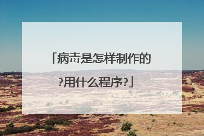 病毒是怎样制作的?用什么程序?