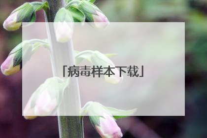 病毒样本下载
