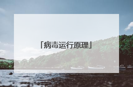 病毒运行原理