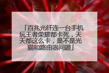 百兆光纤连一台手机玩王者荣耀都卡死，天天都这么卡，是不是光猫和路由器问题