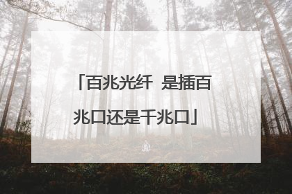 百兆光纤 是插百兆口还是千兆口