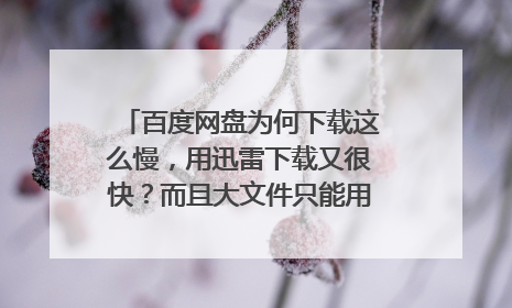 百度网盘为何下载这么慢,用迅雷下载又很快?而且大文件只能用百度云,累呀