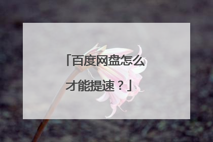 百度网盘怎么才能提速?