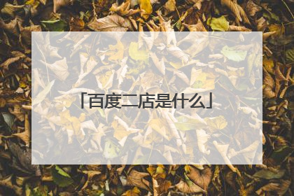 百度二店是什么