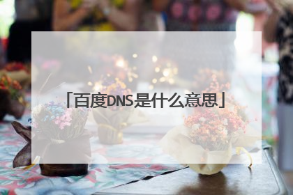 百度DNS是什么意思