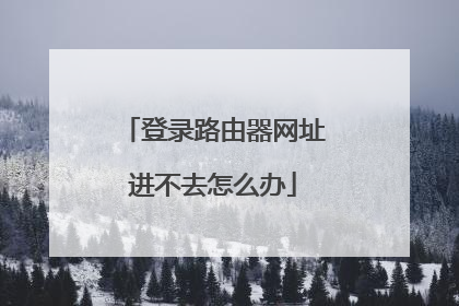 登录路由器网址进不去怎么办