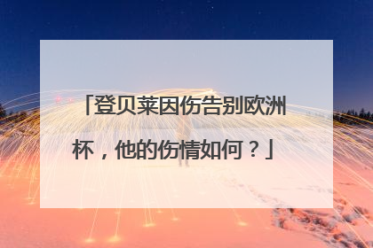 登贝莱因伤告别欧洲杯，他的伤情如何？