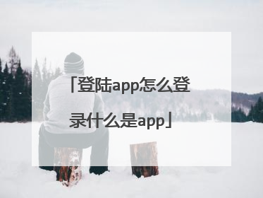 登陆app怎么登录什么是app