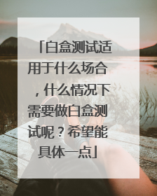 白盒测试适用于什么场合,什么情况下需要做白盒测试呢?希望能具体一点