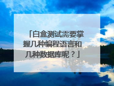 白盒测试需要掌握几种编程语言和几种数据库呢?