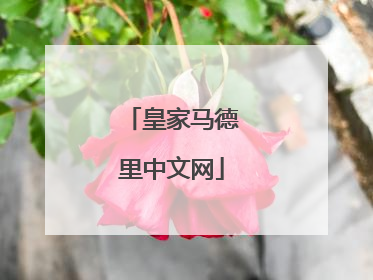 皇家马德里中文网