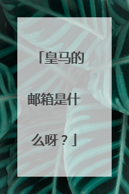 皇马的邮箱是什么呀?