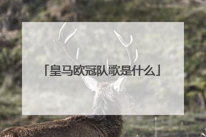 皇马欧冠队歌是什么