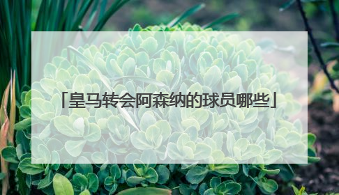 皇马转会阿森纳的球员哪些