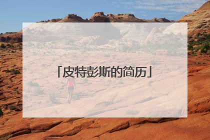 皮特彭斯的简历