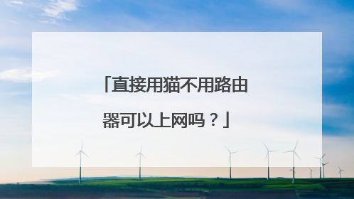 直接用猫不用路由器可以上网吗?