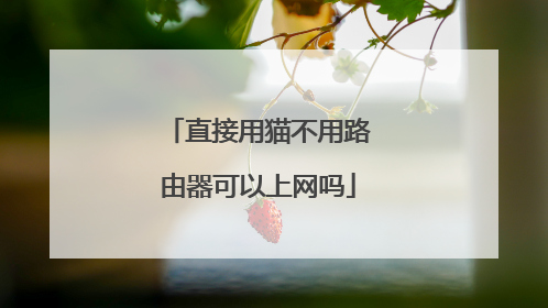 直接用猫不用路由器可以上网吗