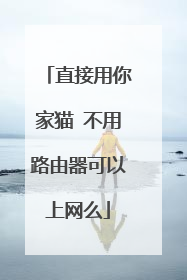 直接用你家猫 不用路由器可以上网么