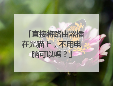 直接将路由器插在光猫上，不用电脑可以吗？