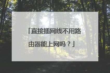 直接插网线不用路由器能上网吗？