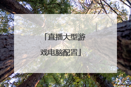 直播大型游戏电脑配置