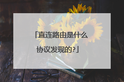 直连路由是什么协议发现的?
