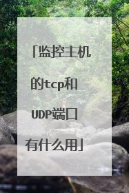 监控主机的tcp和UDP端口有什么用