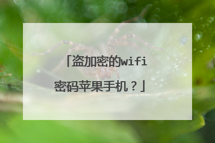 盗加密的wifi密码苹果手机？