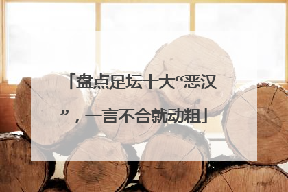 盘点足坛十大“恶汉”，一言不合就动粗