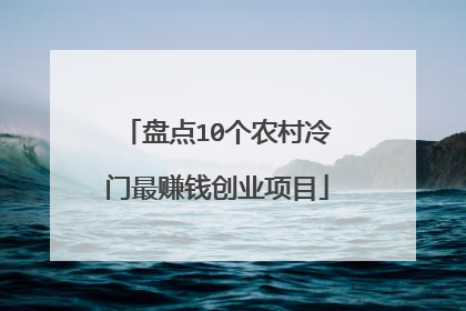 盘点10个农村冷门最赚钱创业项目