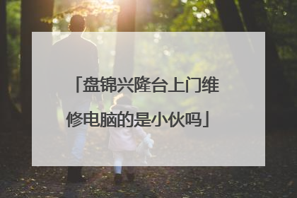 盘锦兴隆台上门维修电脑的是小伙吗